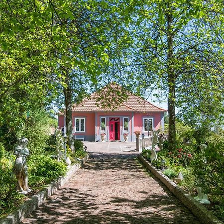Villa Camelia Boutique House カマシャ エクステリア 写真